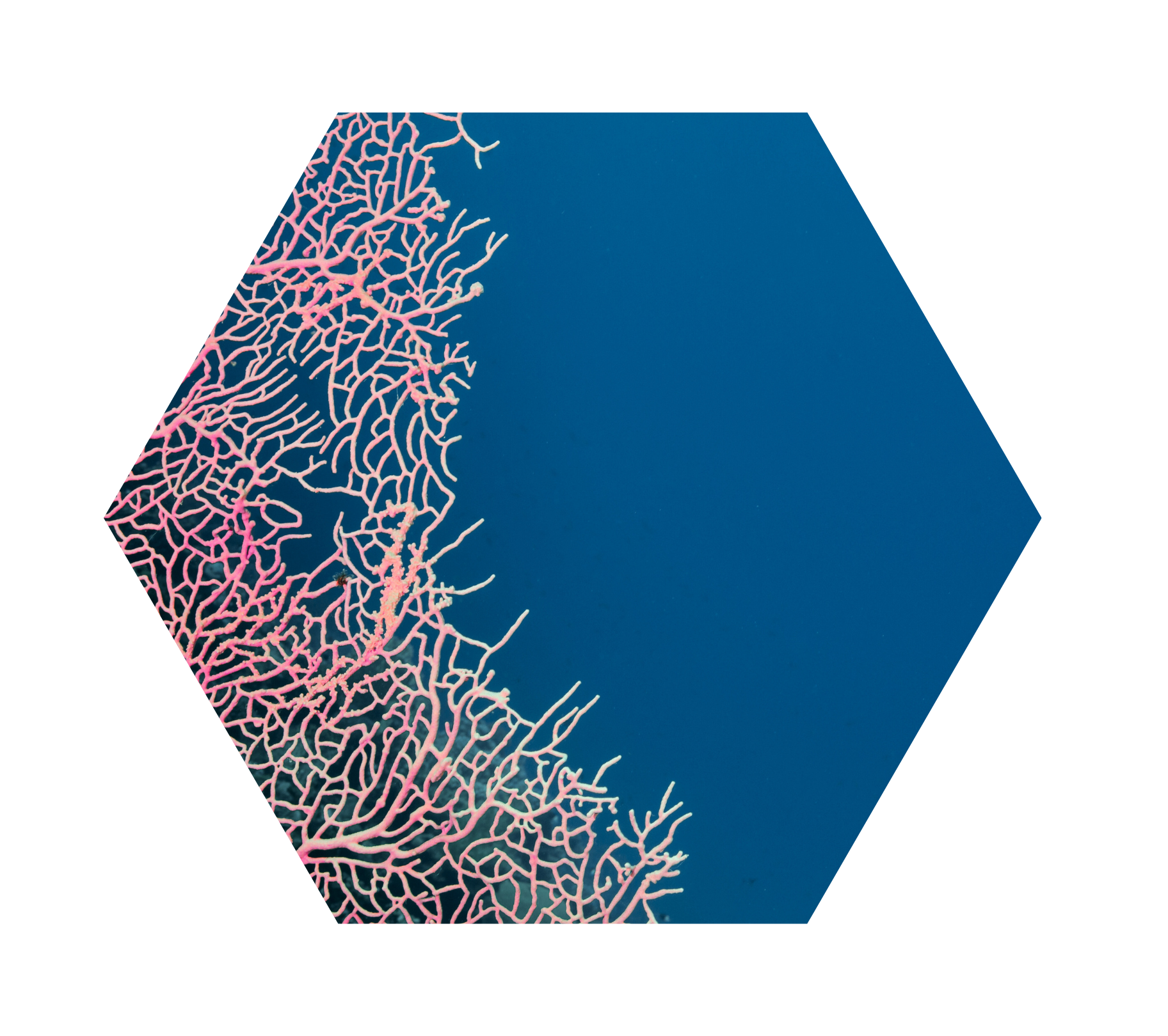 https://www.innovethos.com/wp-content/uploads/2025/05/Innovethos-B2B-Tech-related.png