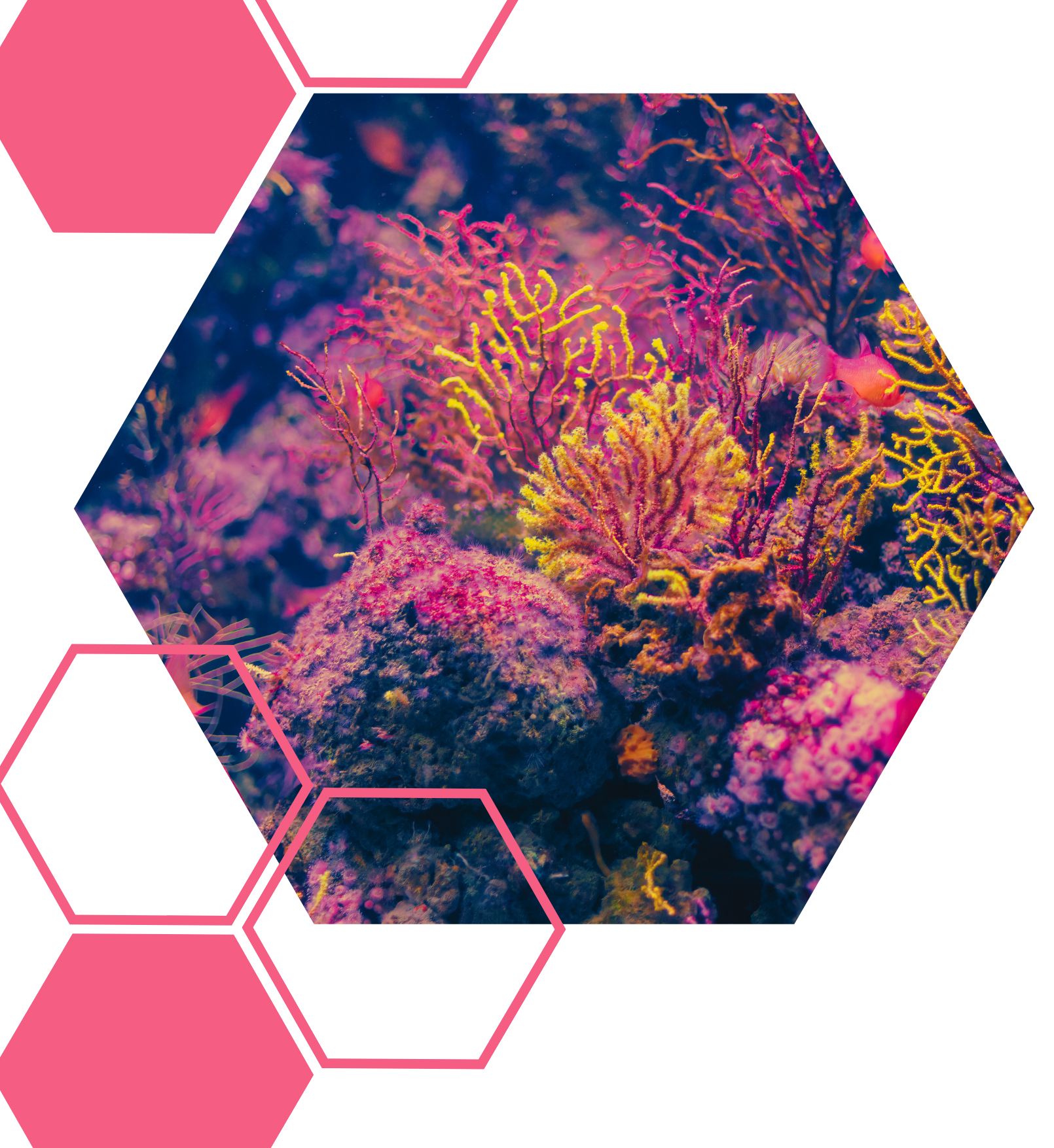 https://www.innovethos.com/wp-content/uploads/2025/05/Innovethos-B2B.png